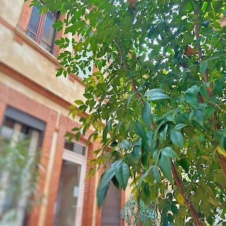 Apartment Entier - Calme Et Confortable - Centre Toulouse