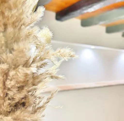 Entier - Calme Et Confortable - Centre Тулуза