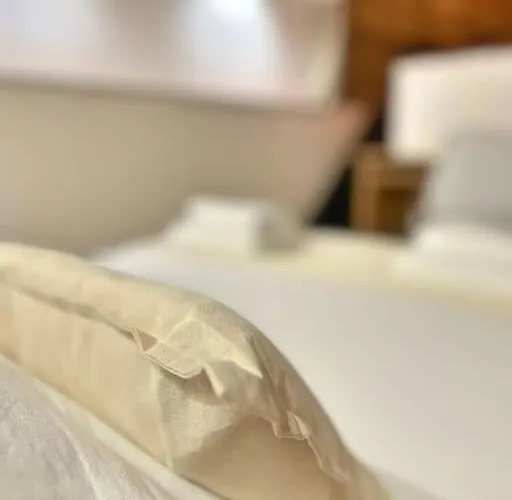 Entier - Calme Et Confortable - Centre Toulouse