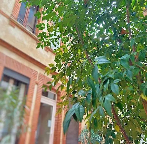 Apartment Entier - Calme Et Confortable - Centre Toulouse