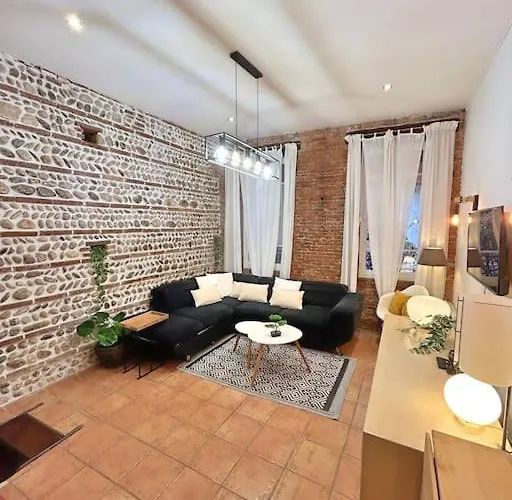 Entier - Calme Et Confortable - Centre Toulouse